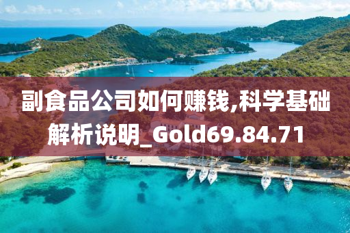 副食品公司如何赚钱,科学基础解析说明_Gold69.84.71