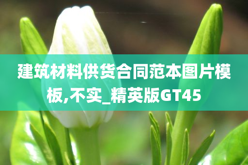 建筑材料供货合同范本图片模板,不实_精英版GT45