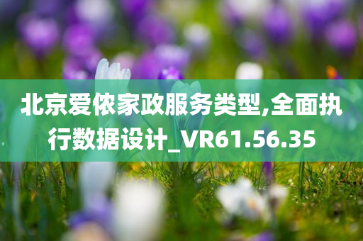 北京爱侬家政服务类型,全面执行数据设计_VR61.56.35