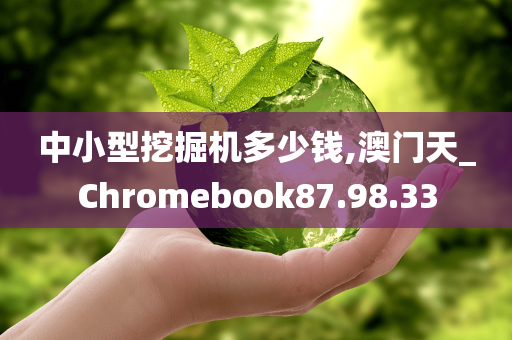 中小型挖掘机多少钱,澳门天_Chromebook87.98.33