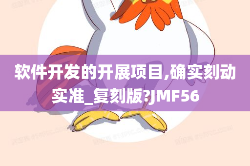 软件开发的开展项目,确实刻动实准_复刻版?JMF56