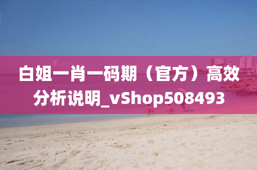 白姐一肖一码期（官方）高效分析说明_vShop508493