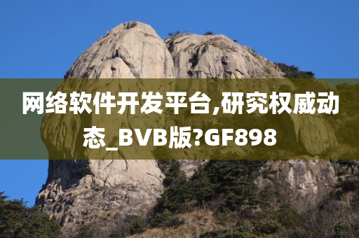 网络软件开发平台,研究权威动态_BVB版?GF898