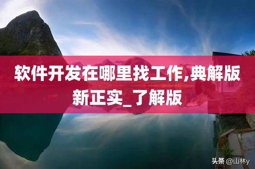 软件开发在哪里找工作,典解版新正实_了解版