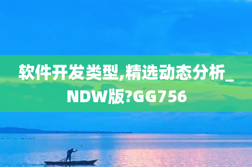 软件开发类型,精选动态分析_NDW版?GG756