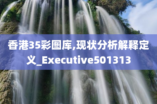 香港35彩图库,现状分析解释定义_Executive501313