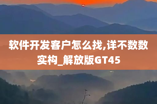 软件开发客户怎么找,详不数数实构_解放版GT45