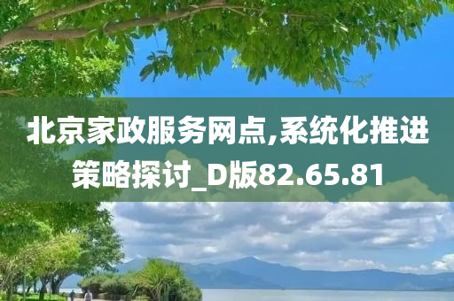 北京家政服务网点,系统化推进策略探讨_D版82.65.81