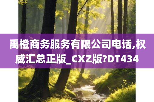 禹橙商务服务有限公司电话,权威汇总正版_CXZ版?DT434