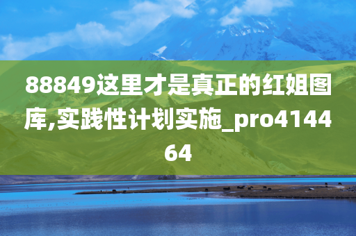 88849这里才是真正的红姐图库,实践性计划实施_pro414464