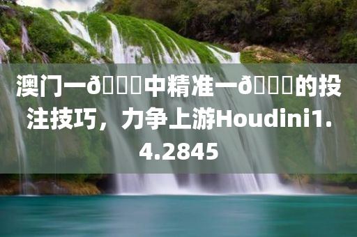 澳门一🐎中精准一🐎的投注技巧，力争上游Houdini1.4.2845