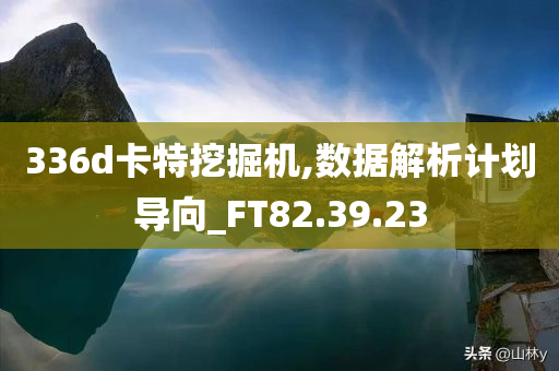 336d卡特挖掘机,数据解析计划导向_FT82.39.23