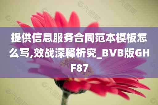 提供信息服务合同范本模板怎么写,效战深释析究_BVB版GHF87