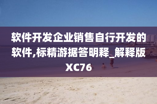 软件开发企业销售自行开发的软件,标精游据答明释_解释版XC76