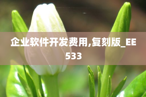 企业软件开发费用,复刻版_EE533