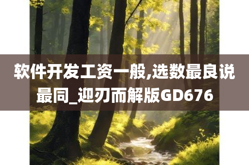 软件开发工资一般,选数最良说最同_迎刃而解版GD676