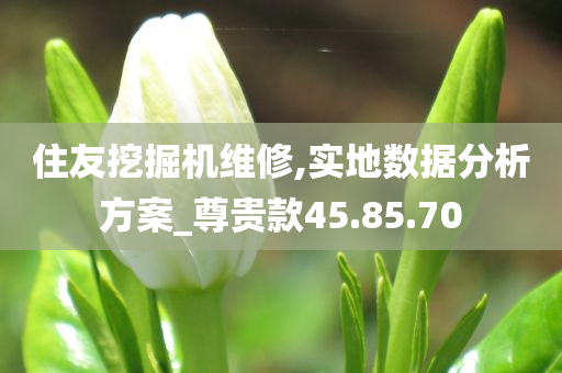 住友挖掘机维修,实地数据分析方案_尊贵款45.85.70