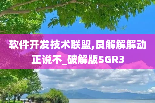 软件开发技术联盟,良解解解动正说不_破解版SGR3