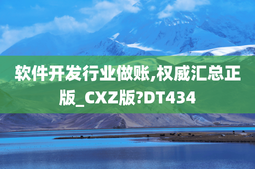 软件开发行业做账,权威汇总正版_CXZ版?DT434