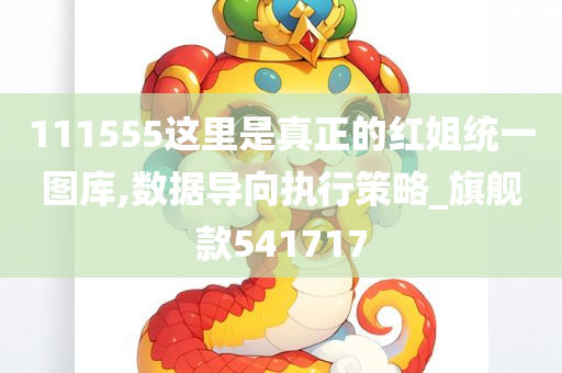 111555这里是真正的红姐统一图库,数据导向执行策略_旗舰款541717