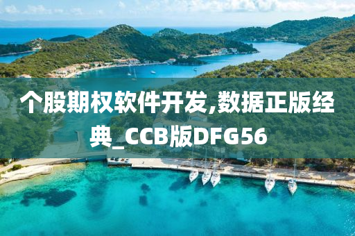 个股期权软件开发,数据正版经典_CCB版DFG56