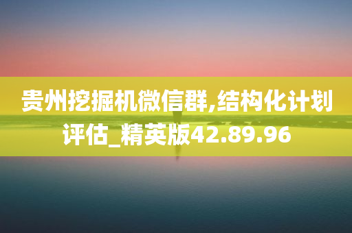 贵州挖掘机微信群,结构化计划评估_精英版42.89.96