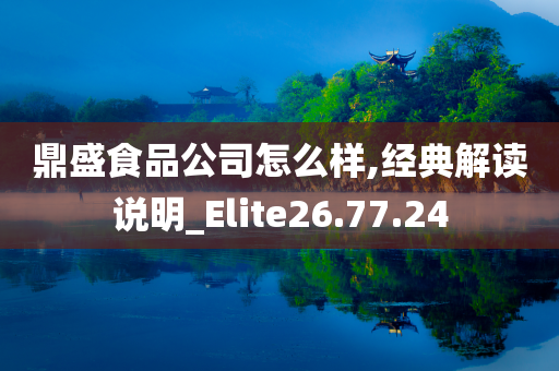 鼎盛食品公司怎么样,经典解读说明_Elite26.77.24