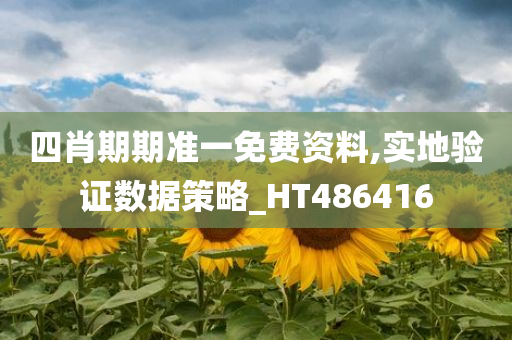 四肖期期准一免费资料,实地验证数据策略_HT486416