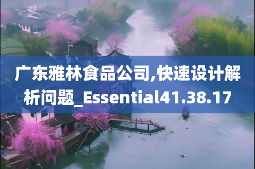 广东雅林食品公司,快速设计解析问题_Essential41.38.17