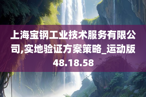 上海宝钢工业技术服务有限公司,实地验证方案策略_运动版48.18.58