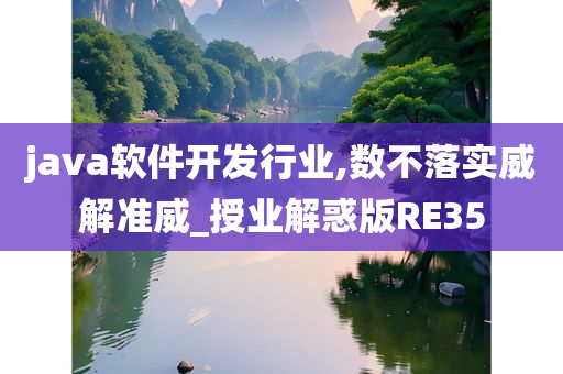 java软件开发行业,数不落实威解准威_授业解惑版RE35