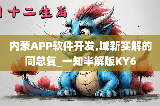 内蒙APP软件开发,域新实解的同总复_一知半解版KY6