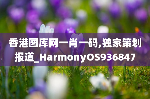 香港图库网一肖一码,独家策划报道_HarmonyOS936847