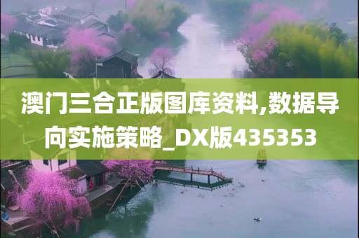 澳门三合正版图库资料,数据导向实施策略_DX版435353