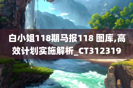 白小姐118期马报118 图库,高效计划实施解析_CT312319