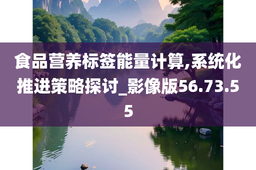 食品营养标签能量计算,系统化推进策略探讨_影像版56.73.55