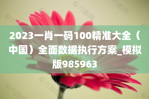 2023一肖一码100精准大全（中国）全面数据执行方案_模拟版985963