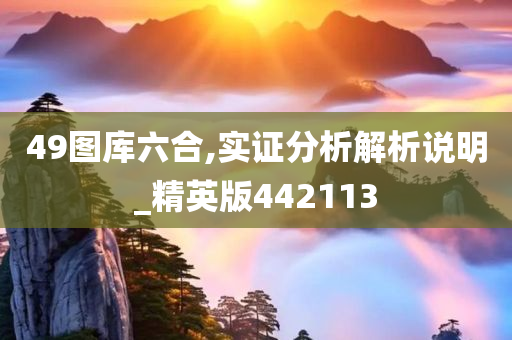 49图库六合,实证分析解析说明_精英版442113