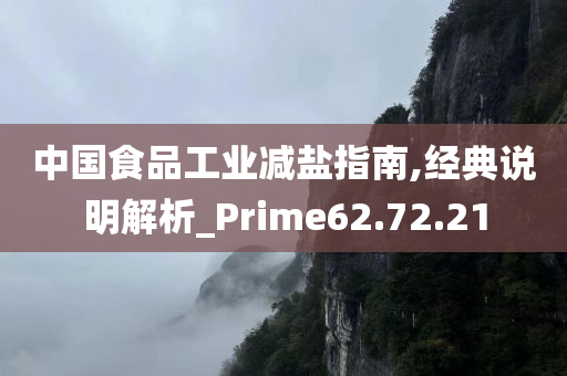 中国食品工业减盐指南,经典说明解析_Prime62.72.21