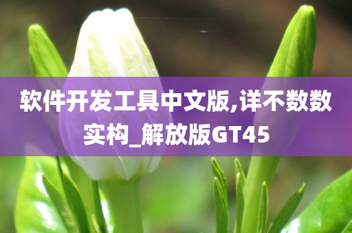 软件开发工具中文版,详不数数实构_解放版GT45