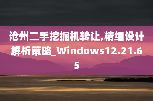 沧州二手挖掘机转让,精细设计解析策略_Windows12.21.65