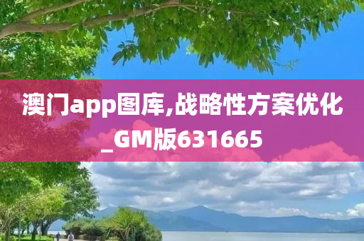 澳门app图库,战略性方案优化_GM版631665