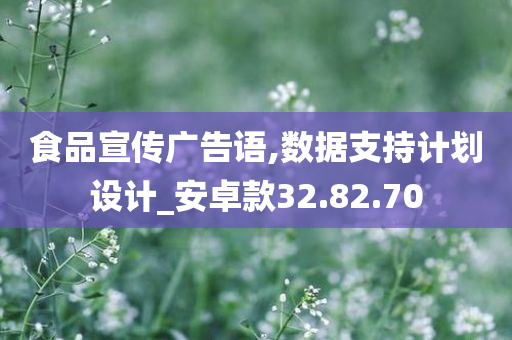 食品宣传广告语,数据支持计划设计_安卓款32.82.70