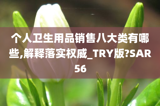 个人卫生用品销售八大类有哪些,解释落实权威_TRY版?SAR56