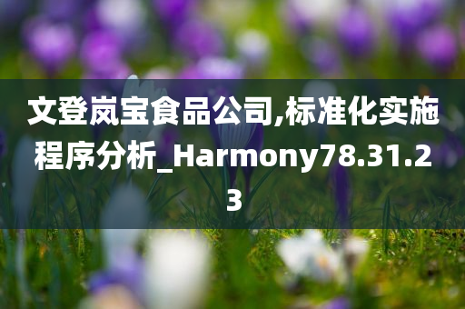 文登岚宝食品公司,标准化实施程序分析_Harmony78.31.23