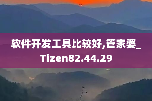 软件开发工具比较好,管家婆_Tizen82.44.29