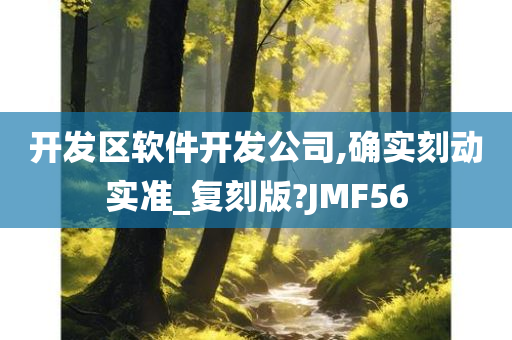 开发区软件开发公司,确实刻动实准_复刻版?JMF56