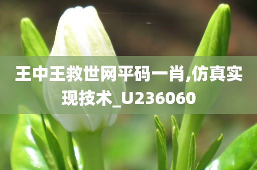 王中王救世网平码一肖,仿真实现技术_U236060