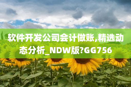 软件开发公司会计做账,精选动态分析_NDW版?GG756