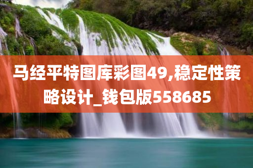 马经平特图库彩图49,稳定性策略设计_钱包版558685